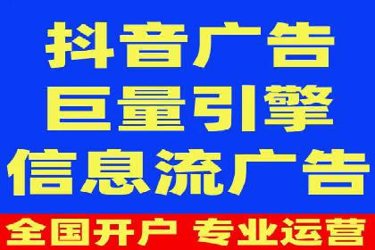 百度竞价广告投放全解析：成功案例揭秘
